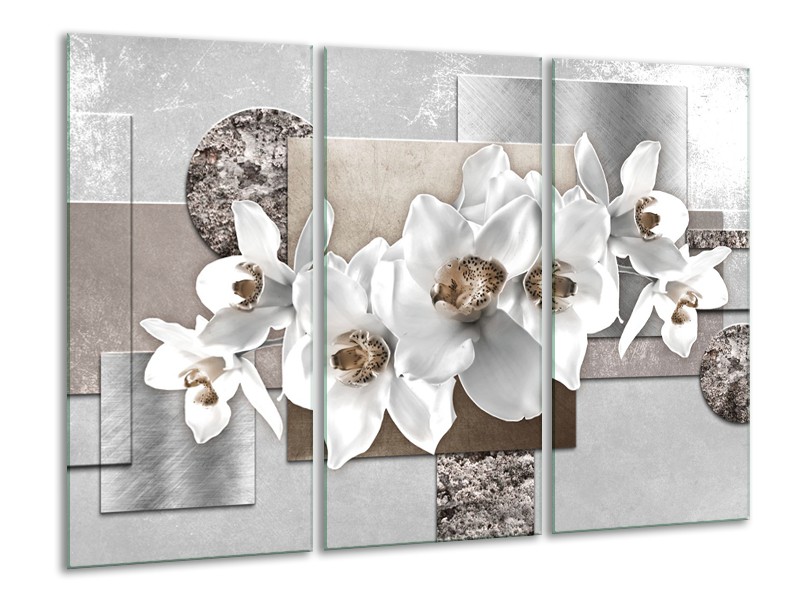 Glasschilderij Orchidee, Bloemen | Grijs, Wit | 120x80cm 3Luik