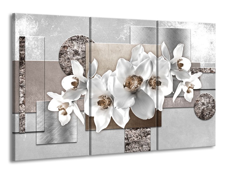 Glasschilderij Orchidee, Bloemen | Grijs, Wit | 165x100cm 3Luik