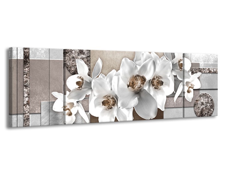 Glasschilderij Orchidee, Bloemen | Grijs, Wit | 170x50cm 3Luik