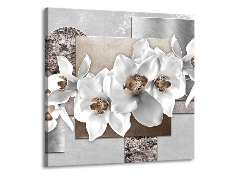 Glasschilderij Orchidee, Bloemen | Grijs, Wit | 50x50cm 1Luik