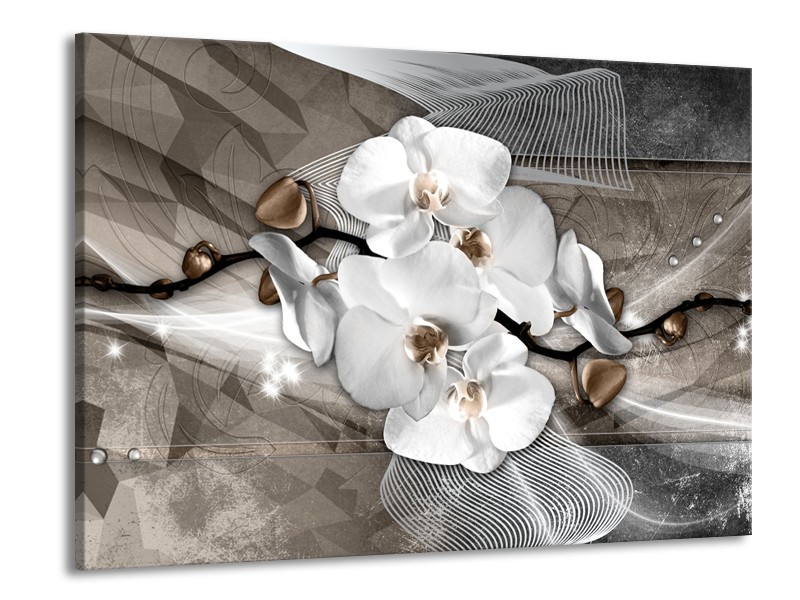 Canvas Schilderij Orchidee, Modern | Wit, Grijs | 100x70cm 1Luik