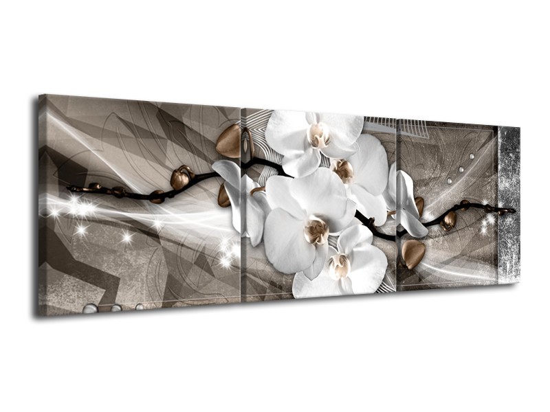 Glasschilderij Orchidee, Modern | Wit, Grijs | 120x40cm 3Luik