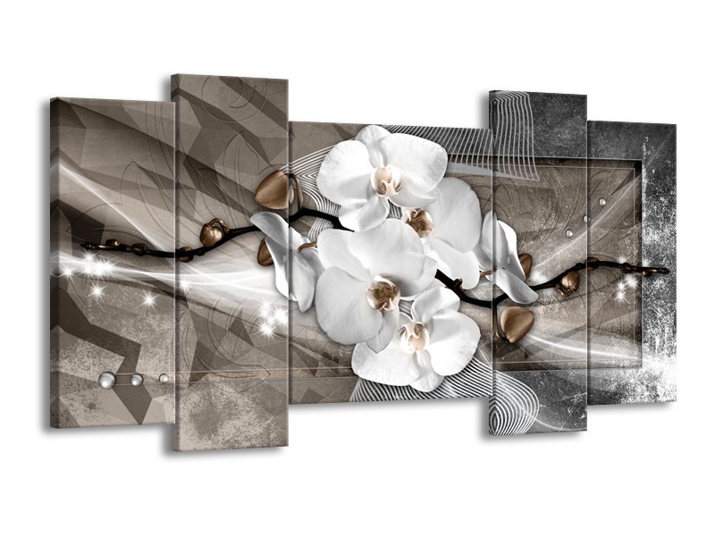 Canvas Schilderij Orchidee, Modern | Wit, Grijs | 120x65cm 5Luik