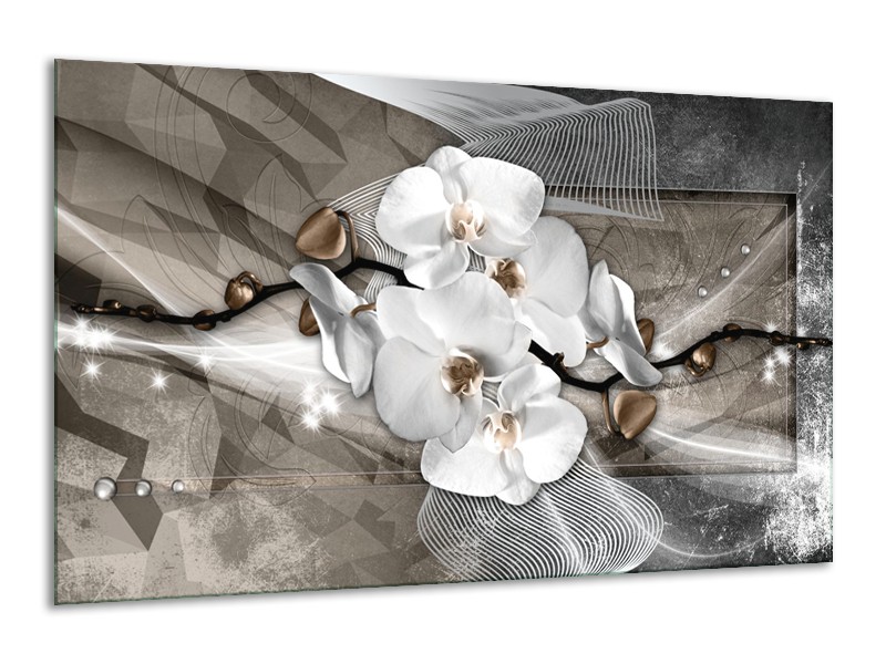 Glasschilderij Orchidee, Modern | Wit, Grijs | 120x70cm 1Luik