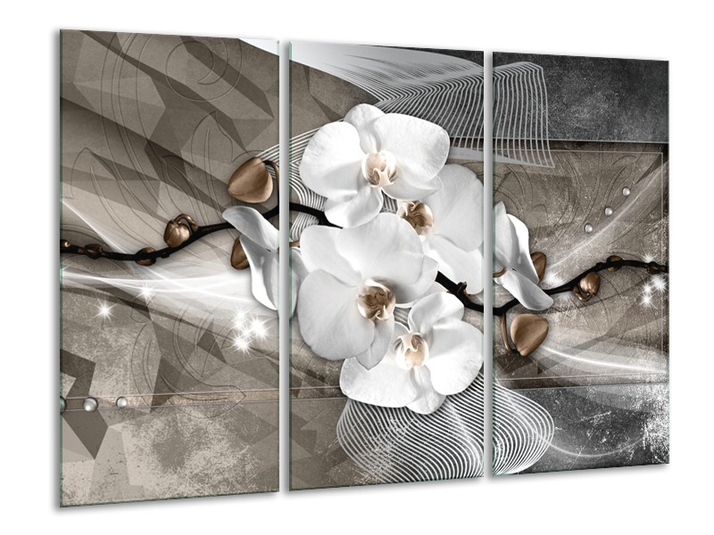 Canvas Schilderij Orchidee, Modern | Wit, Grijs | 120x80cm 3Luik