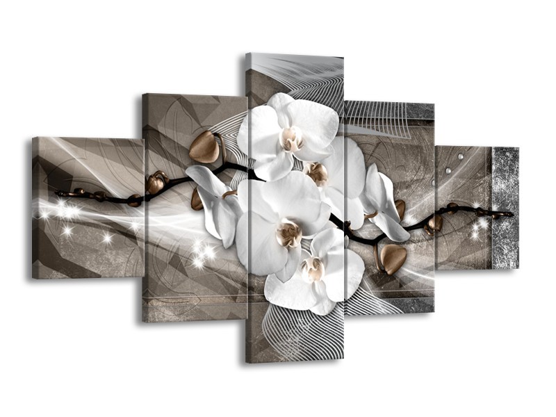 Canvas Schilderij Orchidee, Modern | Wit, Grijs | 125x70cm 5Luik