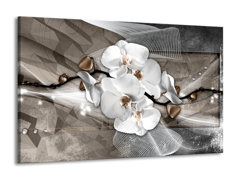 Canvas Schilderij Orchidee, Modern | Wit, Grijs | 140x90cm 1Luik