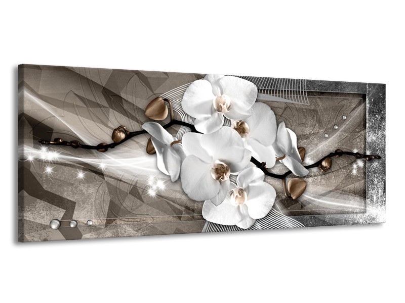 Glasschilderij Orchidee, Modern | Wit, Grijs | 145x58cm 1Luik