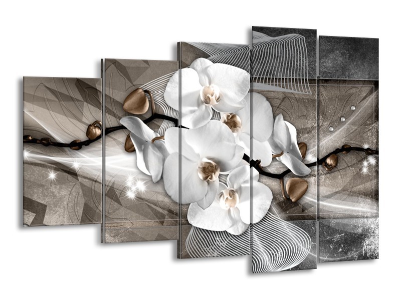 Glasschilderij Orchidee, Modern | Wit, Grijs | 150x100cm 5Luik