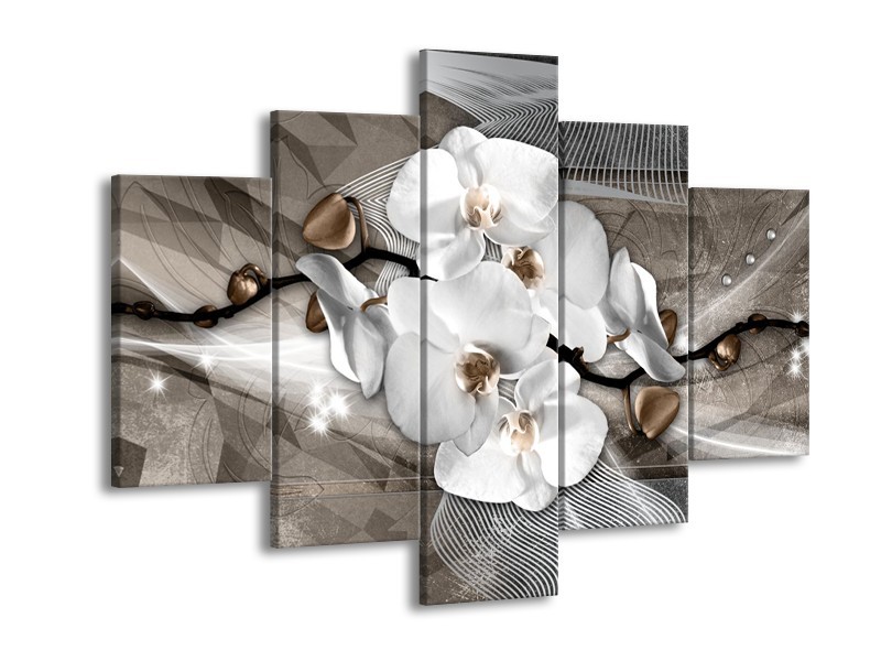 Glasschilderij Orchidee, Modern | Wit, Grijs | 150x105cm 5Luik