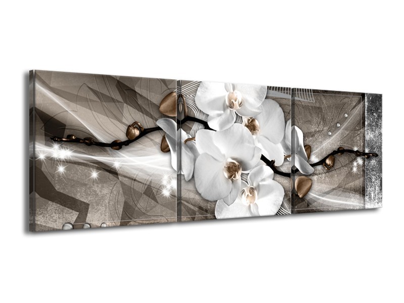 Glasschilderij Orchidee, Modern | Wit, Grijs | 150x50cm 3Luik