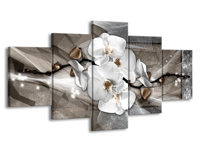 Glasschilderij Orchidee, Modern | Wit, Grijs | 150x80cm 5Luik