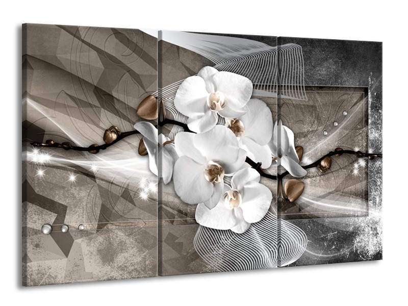 Canvas Schilderij Orchidee, Modern | Wit, Grijs | 165x100cm 3Luik