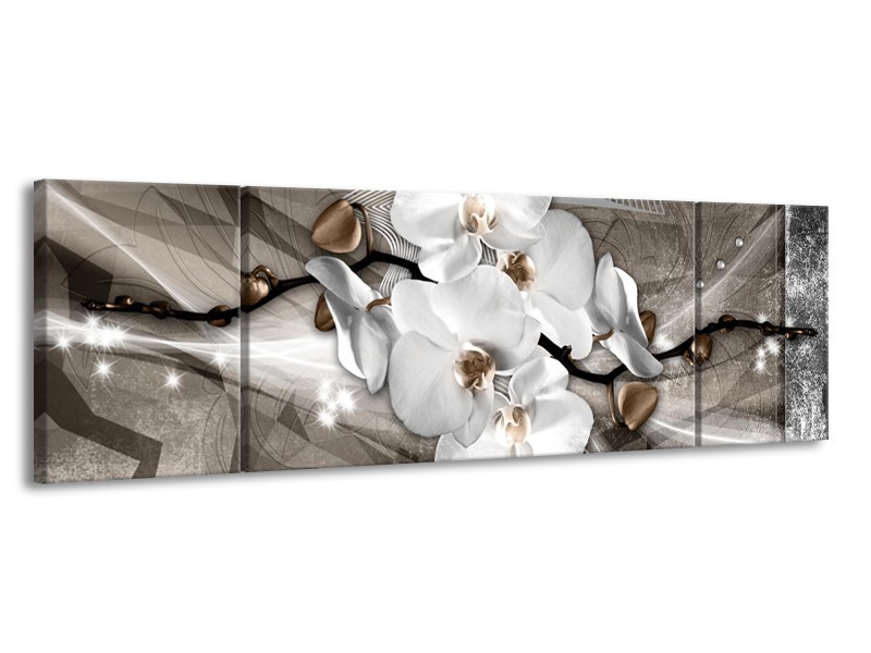 Canvas Schilderij Orchidee, Modern | Wit, Grijs | 170x50cm 3Luik