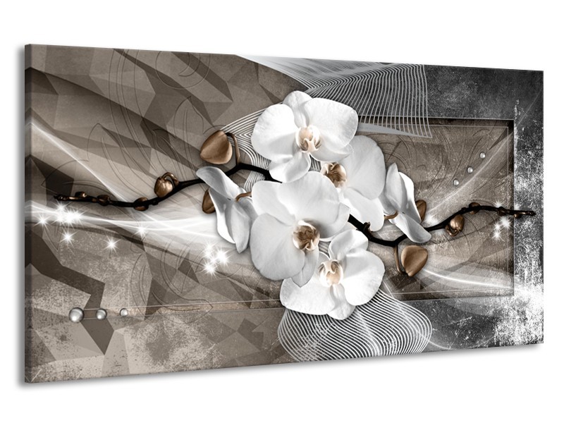 Canvas Schilderij Orchidee, Modern | Wit, Grijs | 190x100cm 1Luik