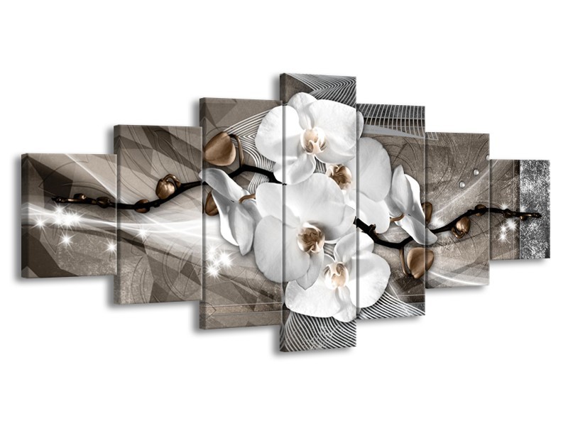 Glasschilderij Orchidee, Modern | Wit, Grijs | 210x100cm 7Luik