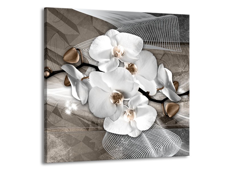 Glasschilderij Orchidee, Modern | Wit, Grijs | 50x50cm 1Luik