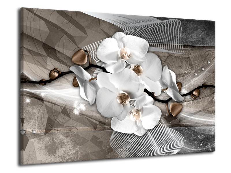 Canvas Schilderij Orchidee, Modern | Wit, Grijs | 70x50cm 1Luik