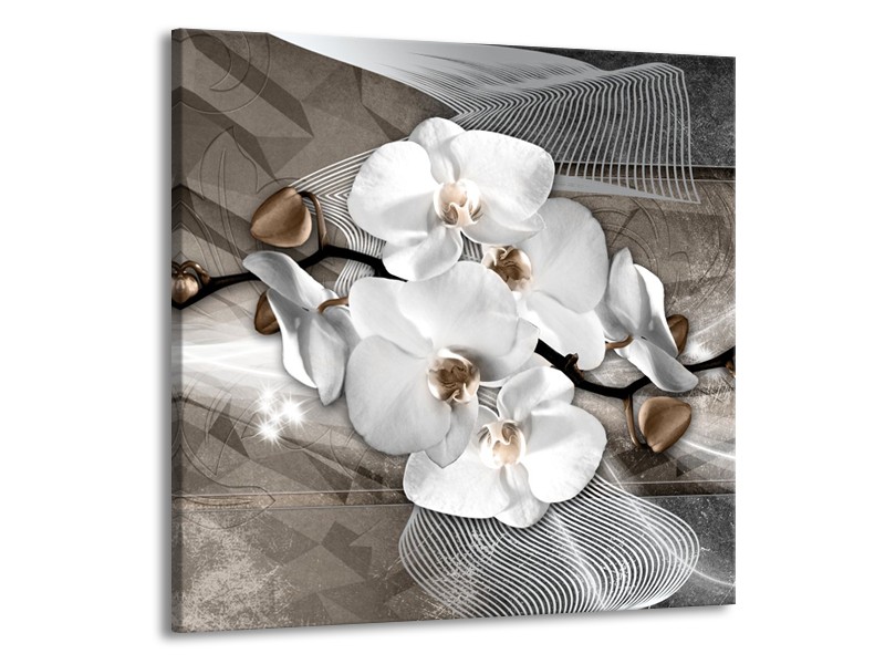 Canvas Schilderij Orchidee, Modern | Wit, Grijs | 70x70cm 1Luik