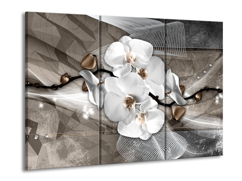 Canvas Schilderij Orchidee, Modern | Wit, Grijs | 60x90cm 3Luik